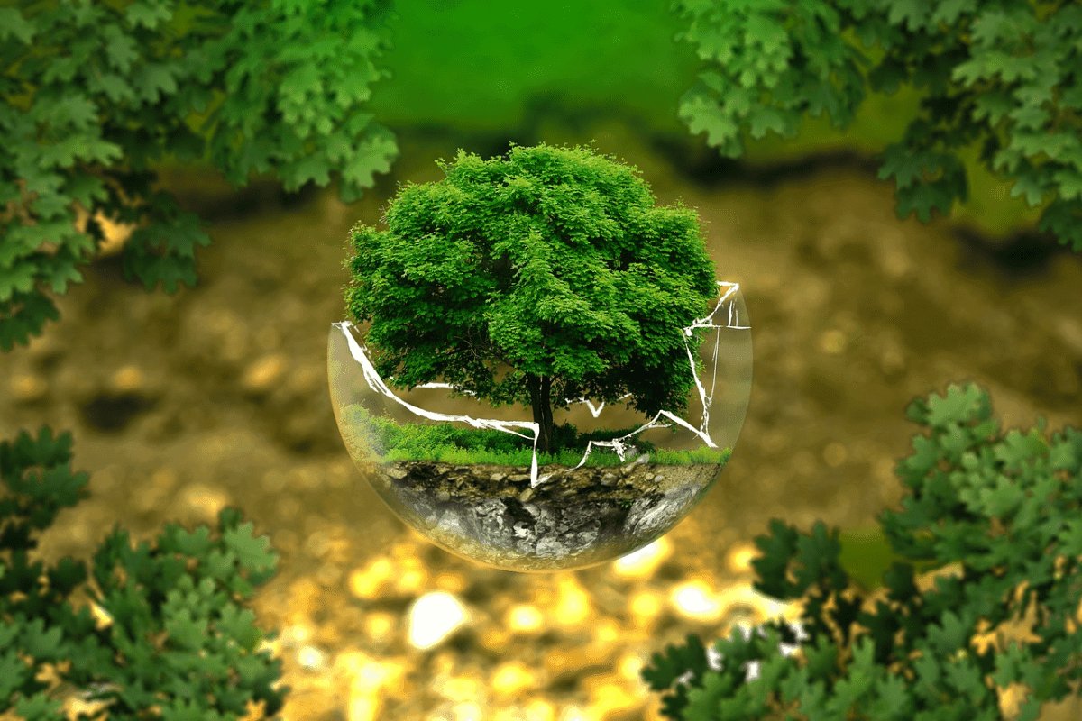 ¿Qué es la economía circular?